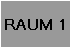 RAUM 1