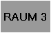 RAUM 3